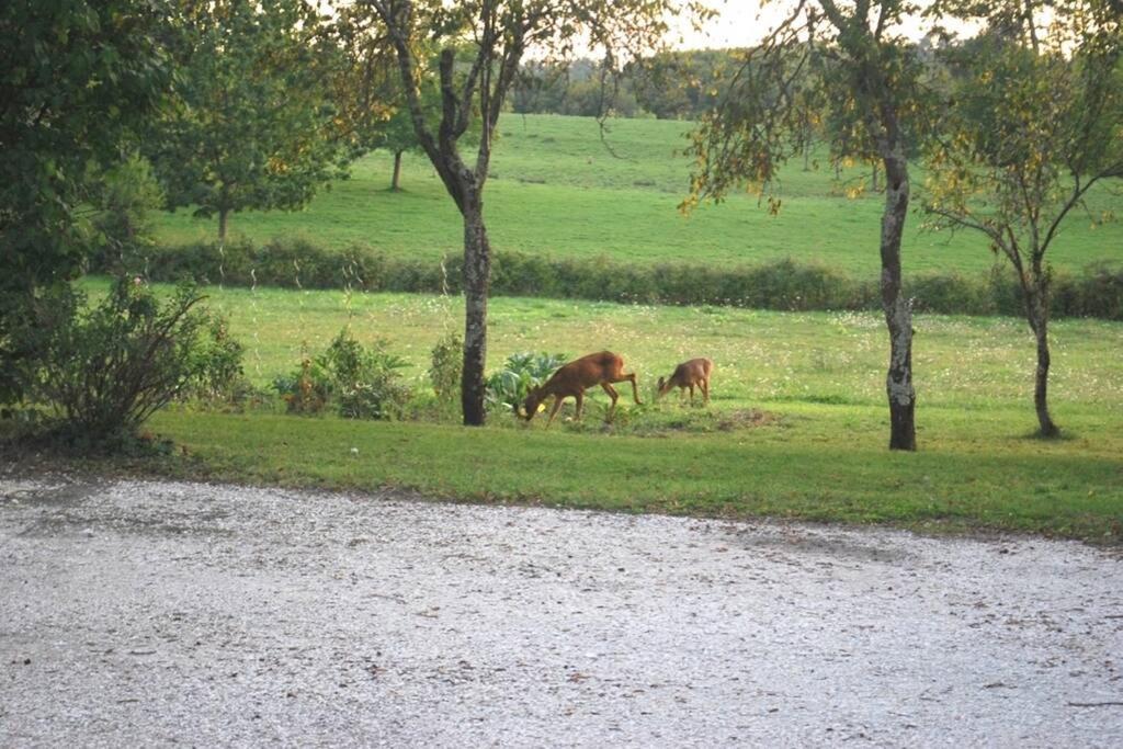 Domaine Solaya Villa Coutras Dış mekan fotoğraf